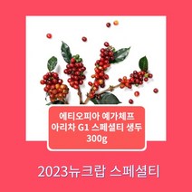 [커피생두]2023뉴크랍 에티오피아 예가체프 아리차 내추럴G1 스페셜티 300g