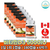트레이더스 햇빛 메가 고함량 비타민d 5000iu 권장량 고르는법 VITAMIND3 60대 70대 80대 노인 할아버지 할머니 비타민D 영양제, 6박스