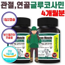 허리 무릎 손목 손가락 영양제 뉴질랜드 녹색홍합 글루코사민 유황효능 관절 연골 보스웰리아 할머니 노인