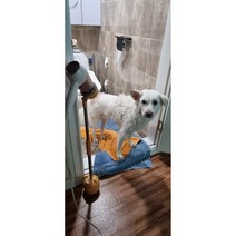 양손이 편한 드라이기 거치대 대형견 반려견 묘 헤어 다용도사용 물보충가능, 옐로우, 1개