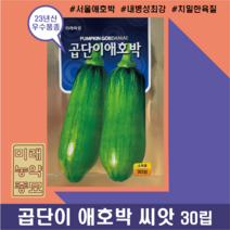 23년산 곱단이 애호박 씨앗 30립