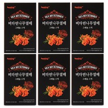 힐링 시벅톤가루 비타민나무열매 분말 차 씨벅톤 그래뉼 티베트산 스틱 50포 6박스