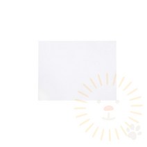 단디 도화지 8절 10매 8절종이