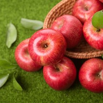 하르방마켓 최상급 청송사과 꿀사과 청송 사과 설선물세트 과일 직거래 햇사과 꿀사과 가정용 선물용 못난이 흠집 중과 대과 특대과 부사 홍로 명절 설 구정 추석 선물 세트, 5. 선물용 특대/제수용 5Kg (14과내외)