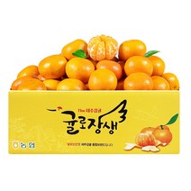 제주시농협 귤로장생 햇 노지감귤 4.5kg 9.5kg 로얄과 중대과, 제주시 농협 햇 노지감귤 4.5kg 중대과