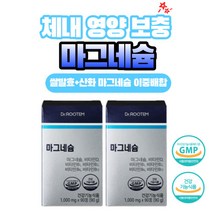 쌀 발효 이중배합 마그네슘 산화마그네슘 315mg 마그네슘 사은품 증정, 2통, 90정