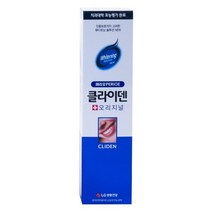 엘지 클라이덴 치약 120g x16개, 단품