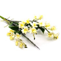 난 8종류/서양난/동양난/조화, 선택1 서양난