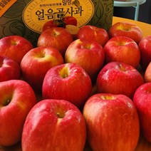 [외할머니밥상] 밀양 얼음골 아삭아삭 꿀사과 5kg 10kg / 사과즙, 03 사과 중대과 10kg