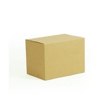 AN 1BOX B형 택배 포장박스 (E골/일반지/250x180x180mm/100매)