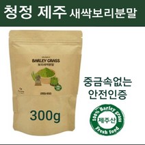 새싹 보리분말 국산 보리새싹 뿌리 씨앗 추출분말 가루 차 제주도 어린 새싹보리순 보리싹 착즙 파우더 100% 폴리코사놀 사포나린 혈관청소 독소빼는 내장지방 복부 뱃살관리 Fmd 효능 분말, 1개, 300g