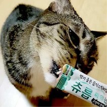 음식 츄릅 짜먹는 고양이 간식 츄르 참치n연어 60g 먹이, 색상:[색상]본상품, 쿠팡01 본상품선택