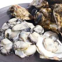 산지직송 제철 여수 생굴 껍질 깐굴 석화 각굴 1kg 2kg