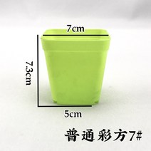 꽃 받침대 월계 두꺼운 측 대야 플라스틱 식물 입체 미니 사이즈 경치 많다 고기 비닐 화분 특 1768871528, 일반핏 복권방 7번 그린 30 개