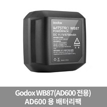 가우포토 공식정품 고독스 WB87 리튬이온 배터리 AD600 전용, 단품