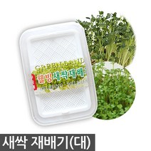 새싹재배기 소형 - 새싹 재배기 새싹 키우기 용기 수경 재배 보리 브로콜리 케일 청경채 베이비씨앗, 02_웰빙새싹재배기(대)