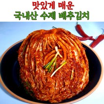 국내산 수제 맛있게 매운 불 배추 포기 김치 실비김치 1kg 3kg 5kg, 불김치_배추포기김치_3kg