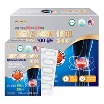 미국 메가 엠에스엠 MSM 1600 골드 120정(4개월) 디메틸설폰 관절 영양제 보스웰리아 글루코사민, 252g, 1개