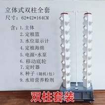 새싹 쌈채소 화분 기르기 식물 수경 재배기 수직농장 텃밭세트 실내 모종 텃밭 정원, 쌍기둥 세트