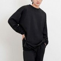 라일리 라일리 Rly 밑단 소매 밴딩 포인트 깔끔스타일 남성 맨투맨티 (9656637)