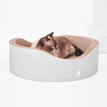 [무료배송]뽀떼 뽀핑크 고양이 스크래쳐 빅써클 L0, 단품