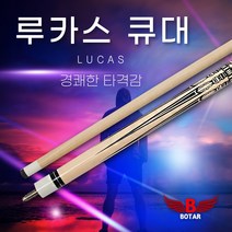 코차보타르 루카스 당구큐대 당구대 장갑 가방