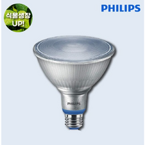 필립스 LED PAR38 15.5W 16W 식물램프 식물등 가정용 5000K E26