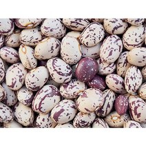 산지농가직송 충남서산 햇 호랑이콩1kg 진공포장, [껍질 미제거]햇 호랑이콩 1kg, 1개