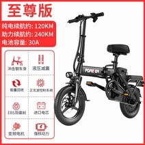 전기 자전거 전동 주행 접이식 출퇴근 배달, 0아, 지존버전5