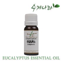 수제나라 유칼립투스 천연아로마 자연의숲, 유칼립투스 10ml