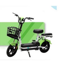 레트로 전기 자전거 48V 20A 리튬 외출 더블 팻바이크, 그린 48V20A