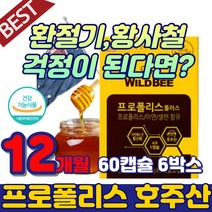 식약청 식약처 인증 프로폴리스 아연 활성산소 추천 종근당 환절기 푸로폴리스 청소년 구강 비강 면역력 호주 온가족 프로플리스 캡슐 항균 플라보노이드 건강식품 20대 30대 50대