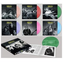 너바나 Nirvana LP 네버마인드 30th 바이늘 바이닐