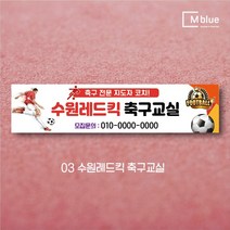 엠블루11 스포츠 축구 야구 농구 동호회 회원모집 축구교실 야구교실 농구교실 여자배구 레슨 왕중왕전 친선경기 대회 행사 현수막, 3_수원레드킥 축구교실