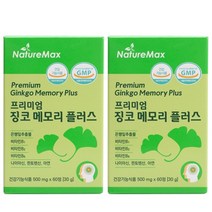 네이처맥스 프리미엄 징코 메모리 2통 (500mg x 120정) 기억력 인지력 개선