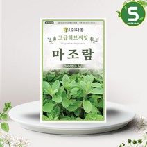 솔림텃밭몰 마조람씨앗 2000립 마조람 허브씨 허브씨앗, 단품