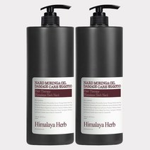 [2개입] 부케가르니 나드 모링가 오일 데미지 케어 샴푸트리트먼트 1500ml 681801, 트리트먼트 2개입