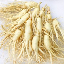 후금이네 가정용 햇 수삼 세척인삼, 300g(5-7뿌리), 1개