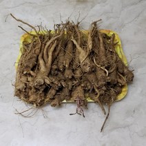국내산 잔대 생잔대 500g 딱주 사삼 생산자직판 요리용, 1개