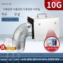 오존살균기 농장 양돈장 살균 탈취 가스 제거 오존발생기, 10g+먼지제거