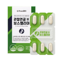 식약처 인증 프롬바이오 이병헌 관절 연골 엔 보스웰리아 3개월 6개월 9개월 12개월 분 무릎 남 여 성 뼈 건강 영양제 부모님 선물 보스웰니아 보수웰리아 보스엘리아 약통, 9개월(18박스)
