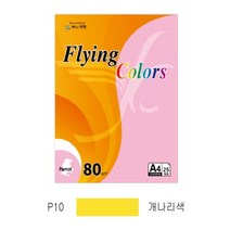 플라잉컬러 패럿(P01~P45)(Q01~Q5) (오피스MALL)플라잉컬러 패럿(P01~P45)(Q01~Q5)(PK1크라프트지)전품목색상판매중 A4*80g*25매*팩*삼원), 1팩, 플라잉컬러 패럿(P10/A4/ 80g/ 개나리색/ 25매/팩/삼원)