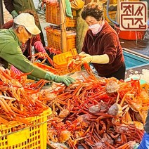 선주직송 박달 포항 구룡포 자숙 생물 연지홍게, 준박달연지홍게, 생물 2.5kg 6~8미, 1개