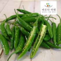바르다야채 맛있게 완전 매운 청양고추(신홍) 신홍 고추 500g 1kg