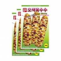 채소씨앗 - 오색옥수수(100립x3)