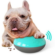 강아지 고양이 혼자두기 분리 불안 베이컨박스 반려견 쿠션 장난감 놀이터 다기능 iq 치료 squeaky 비행 디스크 대화형 게임 씹기 훈련 식품 디스펜서 jouet, 파란 개 장난감