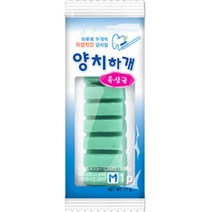 양치하개 노령견 치석제거 덴탈껌 유산균 1P 도그, 4개