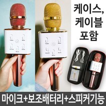 블루투스노래방마이크 블루투스마이크 노래방마이크 스피커 노래마이크 블루투스 마이크 노래방 차량용, 해당상품을선택하세요