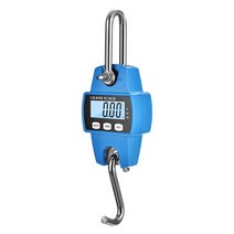 고정밀 최대 300KG 산업용 고리형 전자 저울, 하늘색 300kg (알루미늄 합금 쉘)