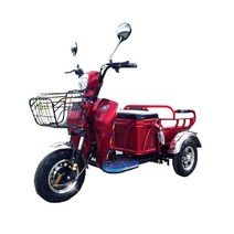 노인용 세발 스쿠터 오토바이 삼륜전동차 EG-120